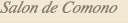 Salon de Comono