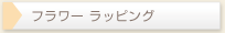 �t�����[ ���b�s���O